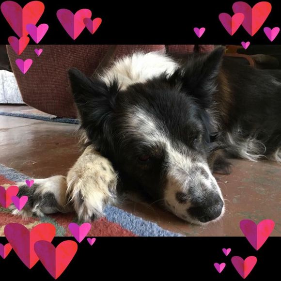 Meet your Posher, Ellen - Picture 1 of 1